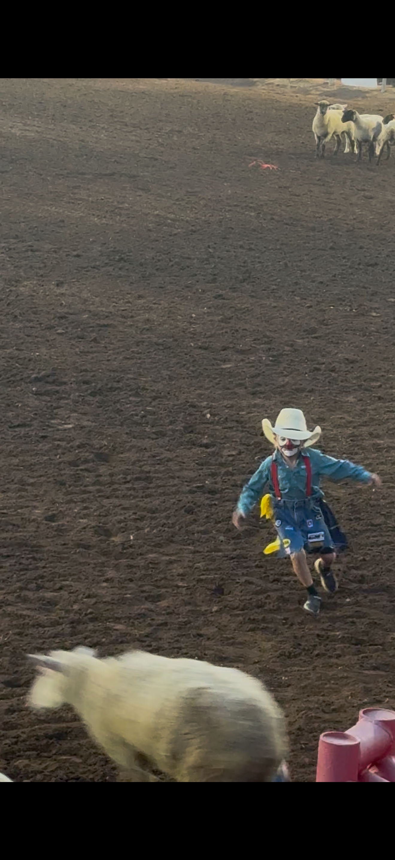 Mutton Bustin Sign-Ups 2026